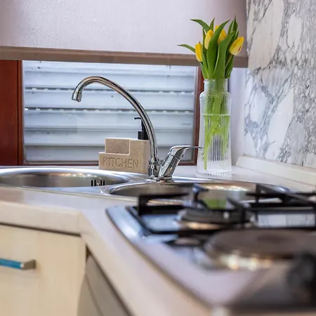 Panorama Blue Radic *